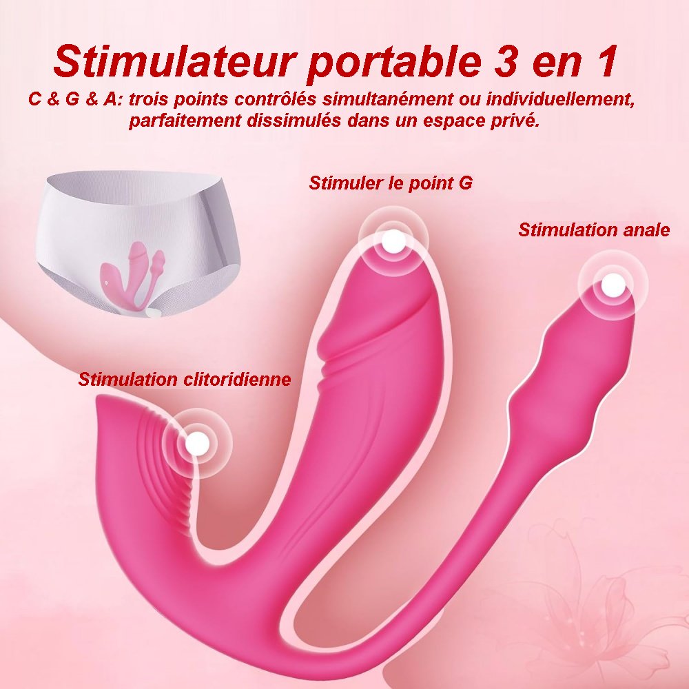 Sextoy Gode vibrant et plug anal connecté A01-050