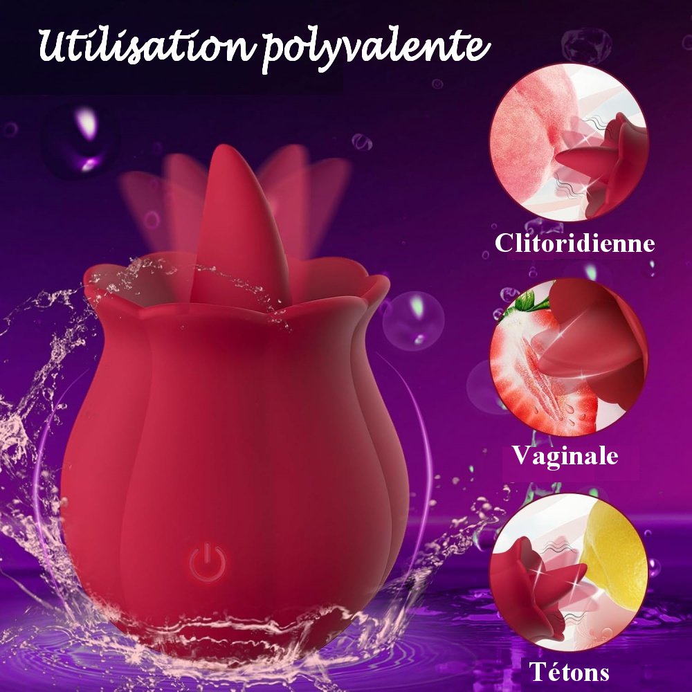 Sextoy Vibromasseur en forme de rose avec langue NST-M003
