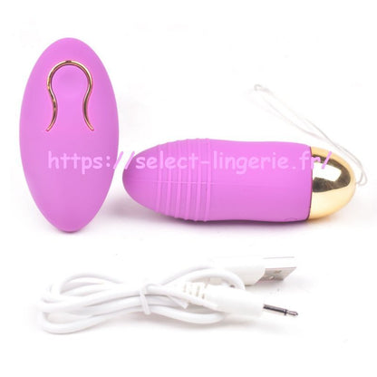 Sextoy oeuf vibrant à télécommande  TD004