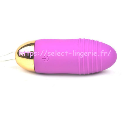 Sextoy oeuf vibrant à télécommande  TD004