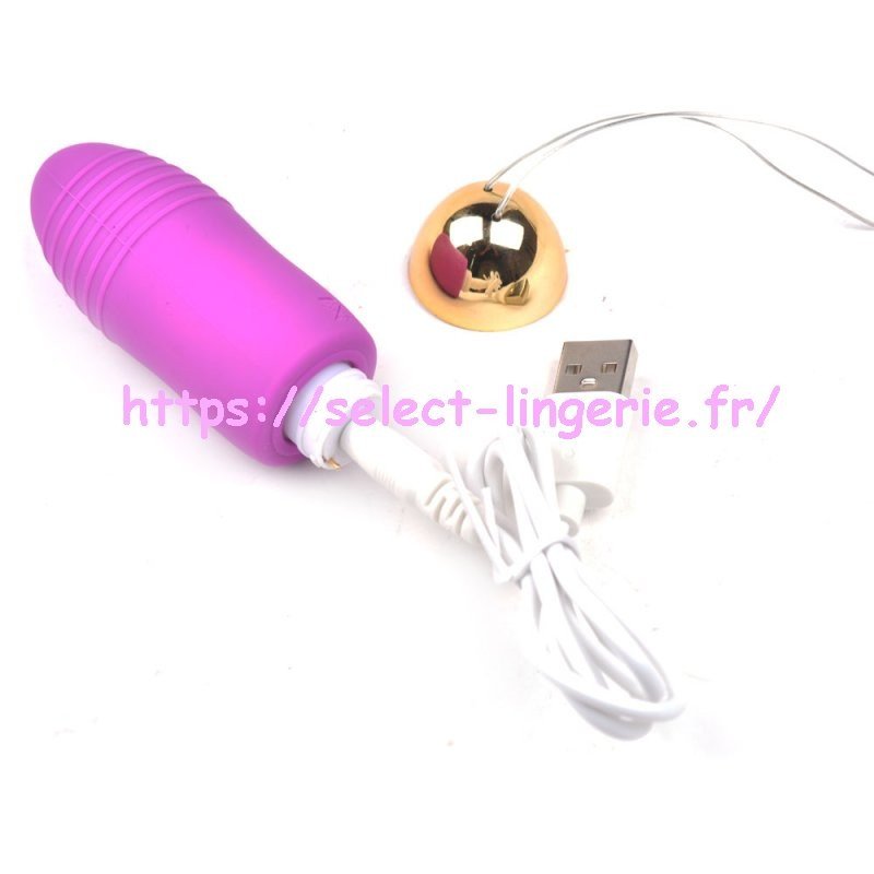 Sextoy oeuf vibrant à télécommande  TD004