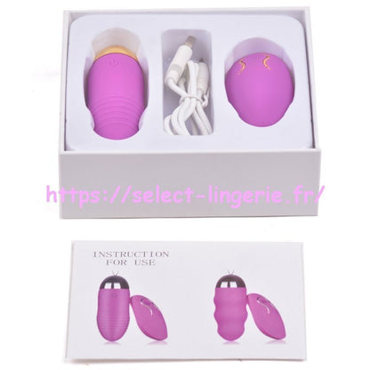 Sextoy oeuf vibrant à télécommande  TD004